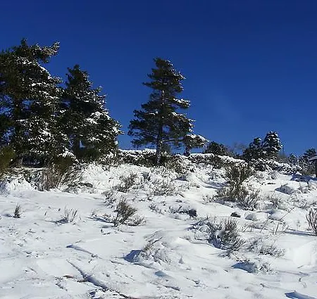 Salto Do Lobo *