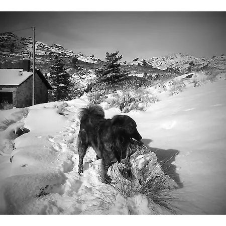 Salto Do Lobo * コビリャン