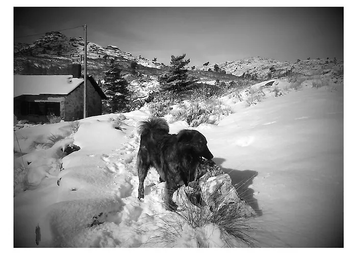 Salto Do Lobo * コビリャン